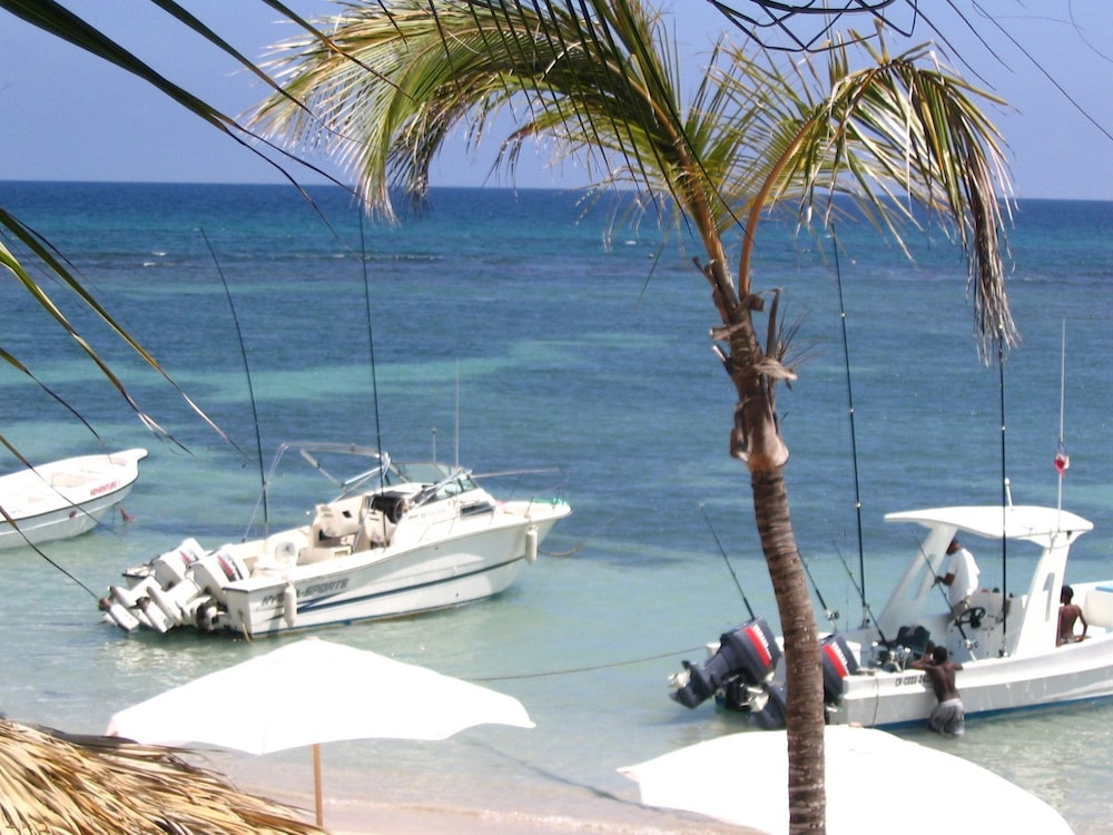 Plaza Real Resort 39/50