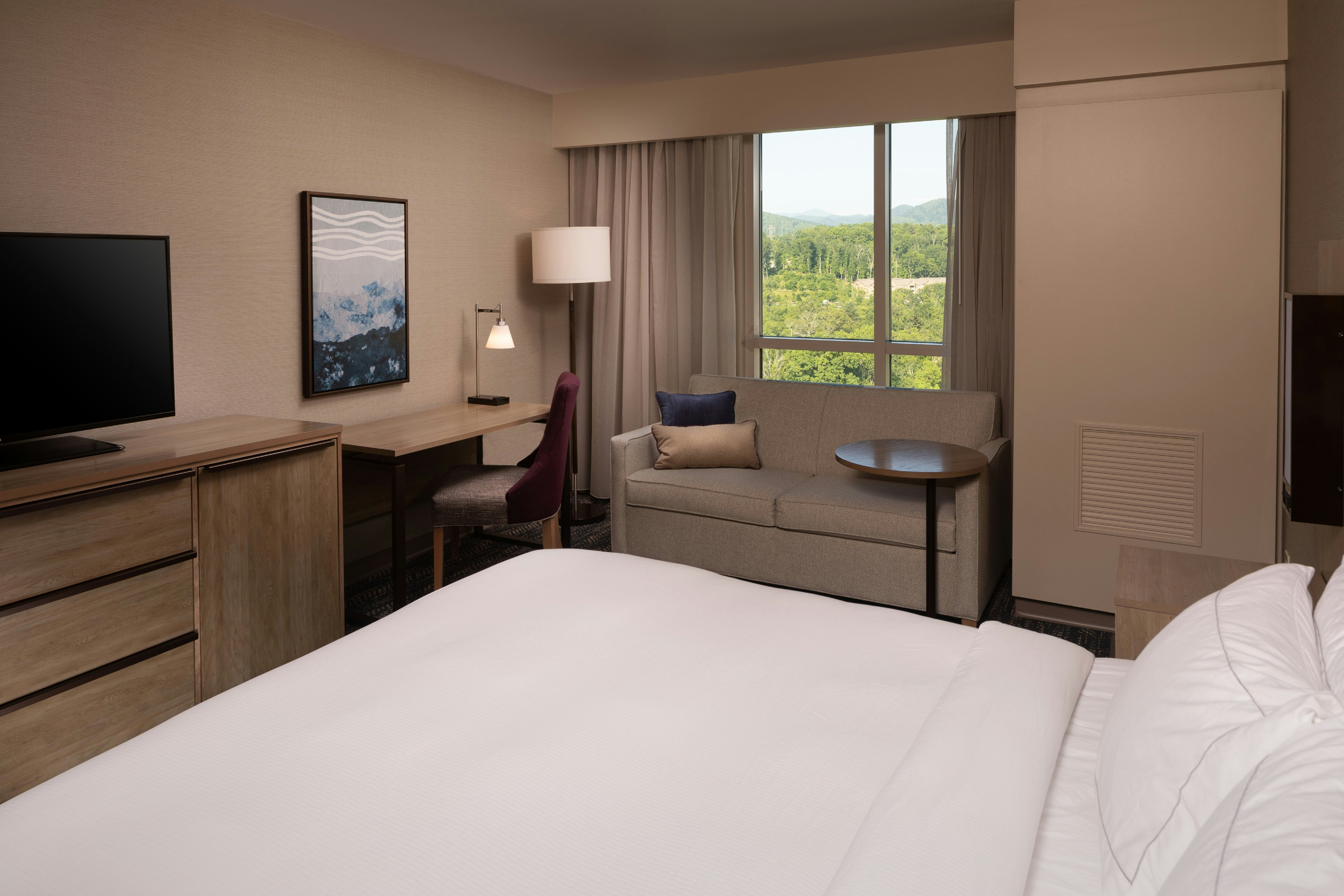 ROOM, KING BED, SOFA
