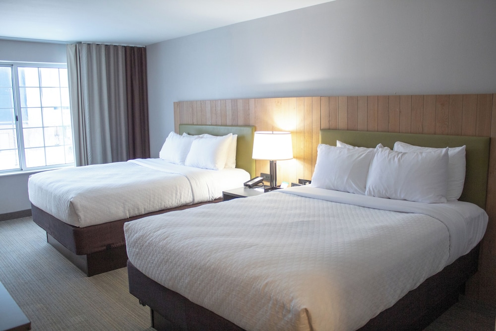 Suite, 2 Queen Beds, Accessible