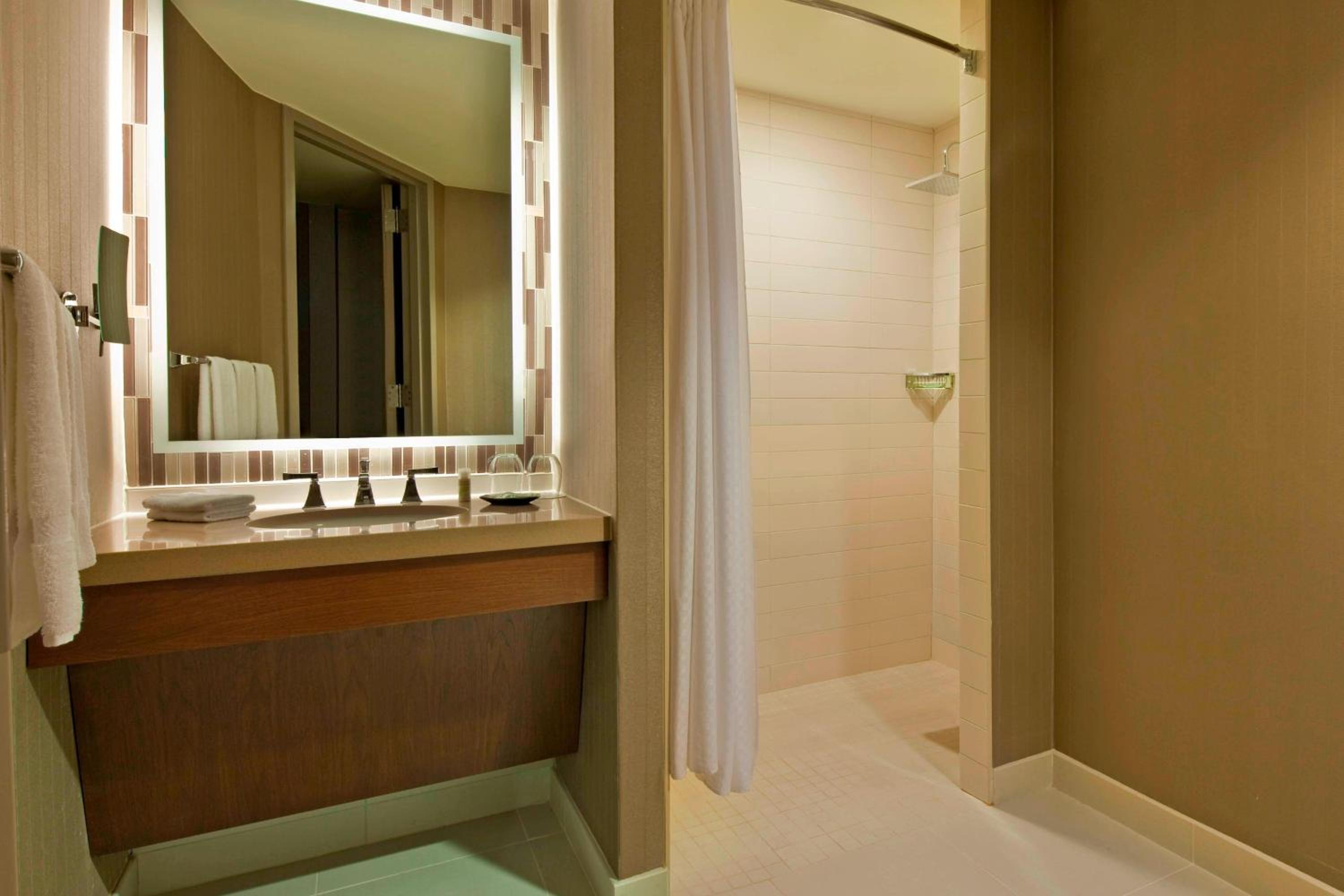 غرفة بسرير كينج لذوي الإعاقة، The Westin Peachtree Plaza Atlanta 14/14