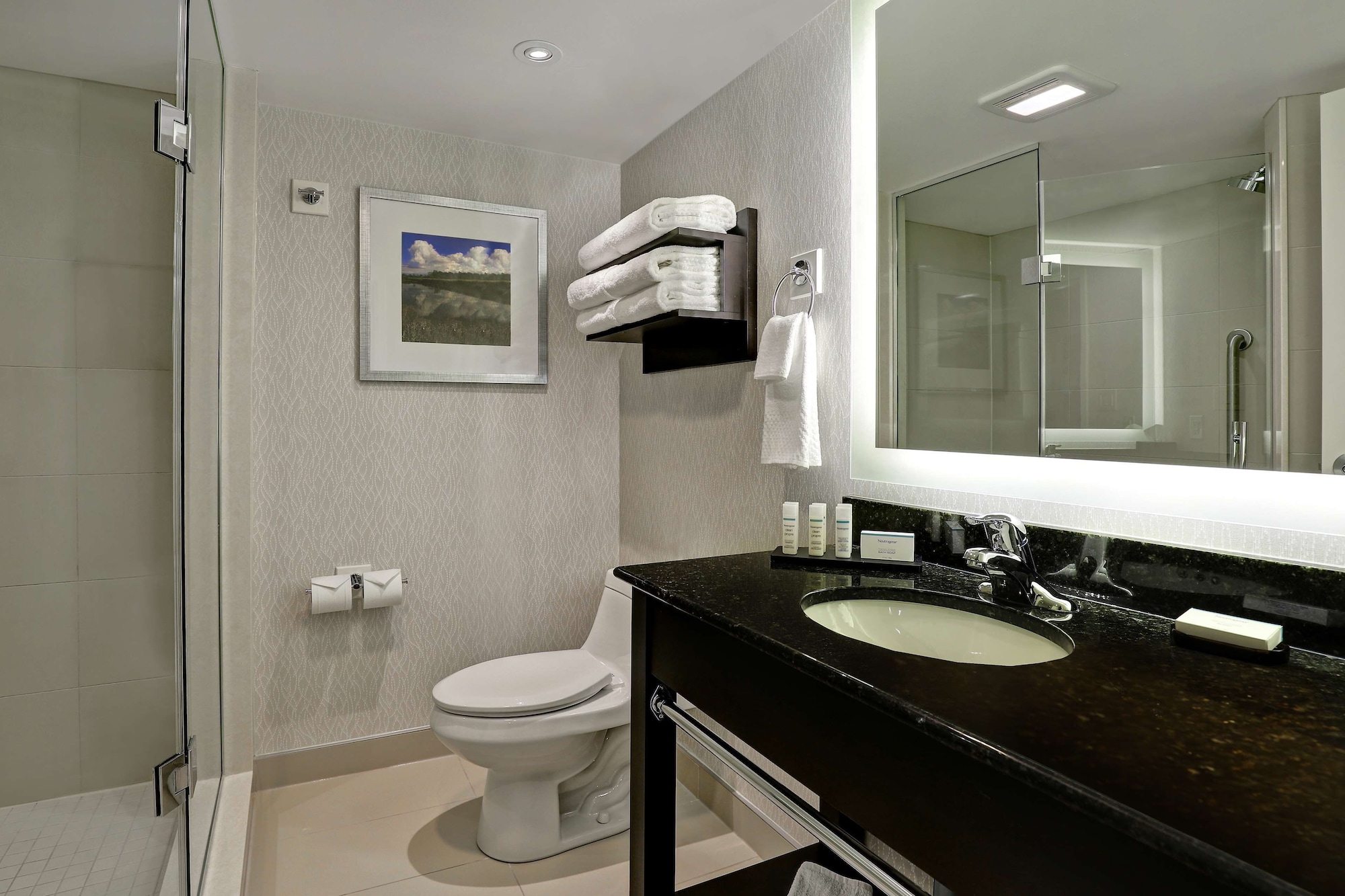 Premium, King Bed, Canadian Us Falls View, Sofa، Embassy Suites By Hilton Niagara Falls Fallsview 5/5