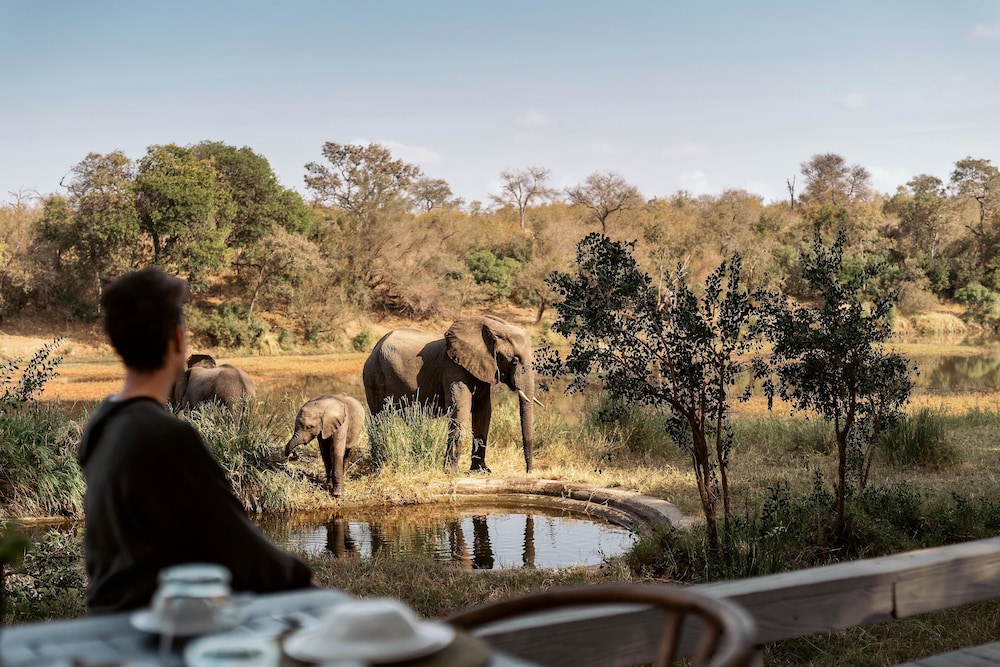 Simbavati River Lodge 43/50