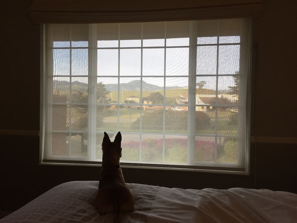 The Morgan Hotel San Simeon 15/50
