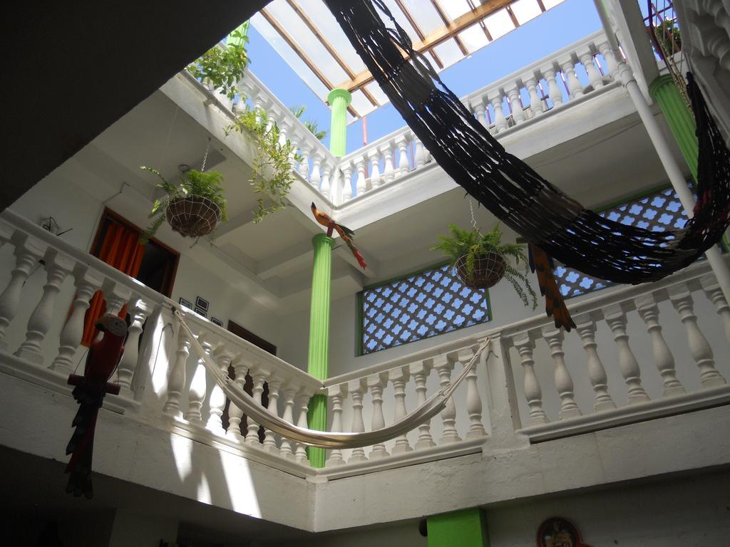 Patio de Getsemani 3/50