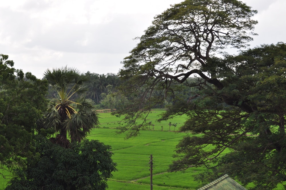 Nilketha Villa Eco Hotel 36/42