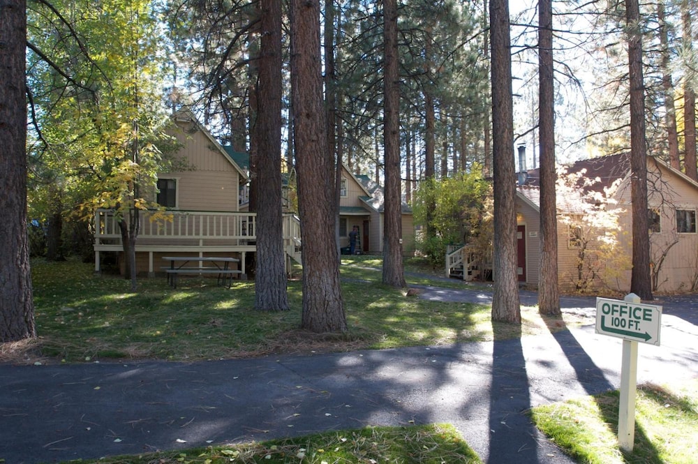 Sleepy Forest Cottages 62/65
