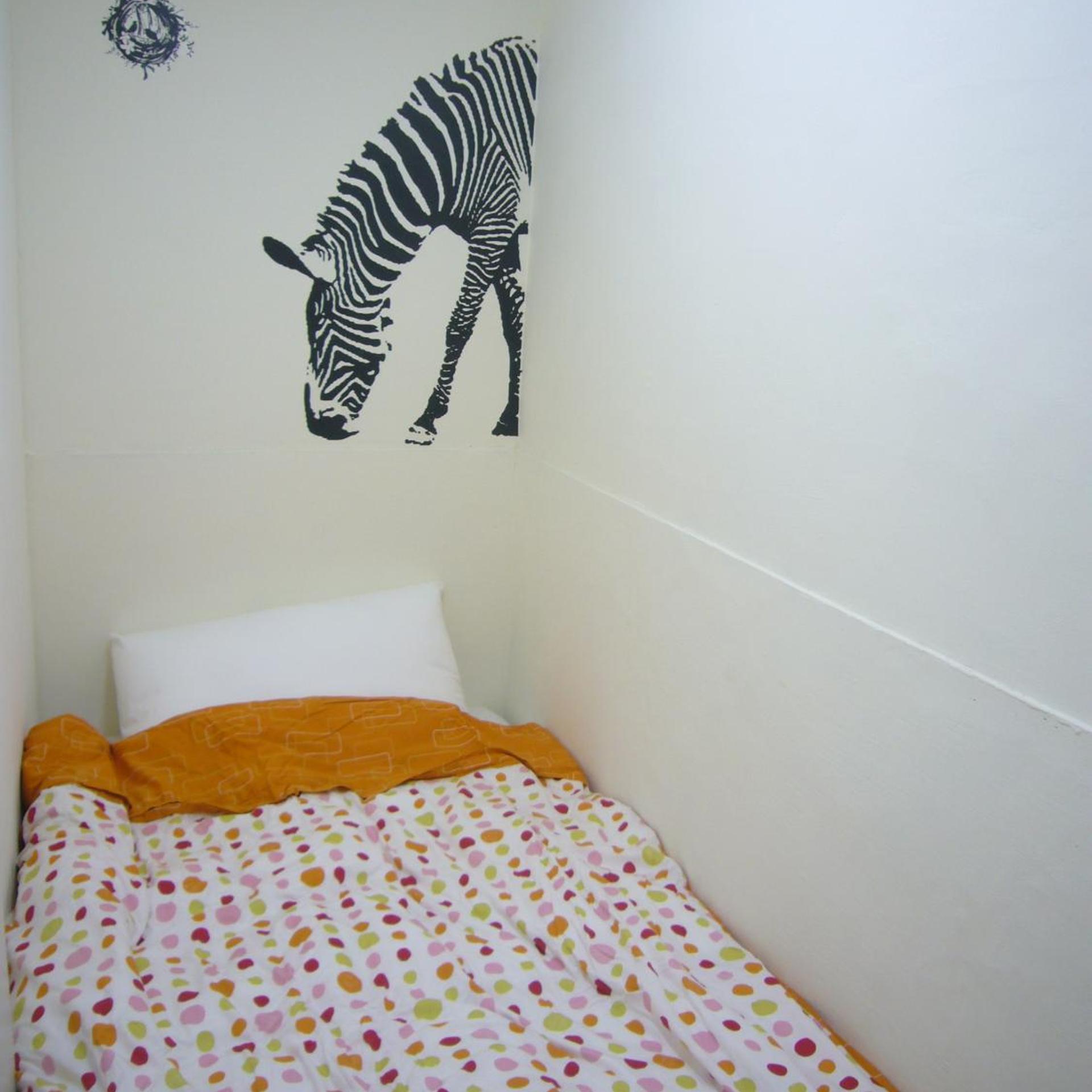 Pineapple Backpackers Hostel 23/37