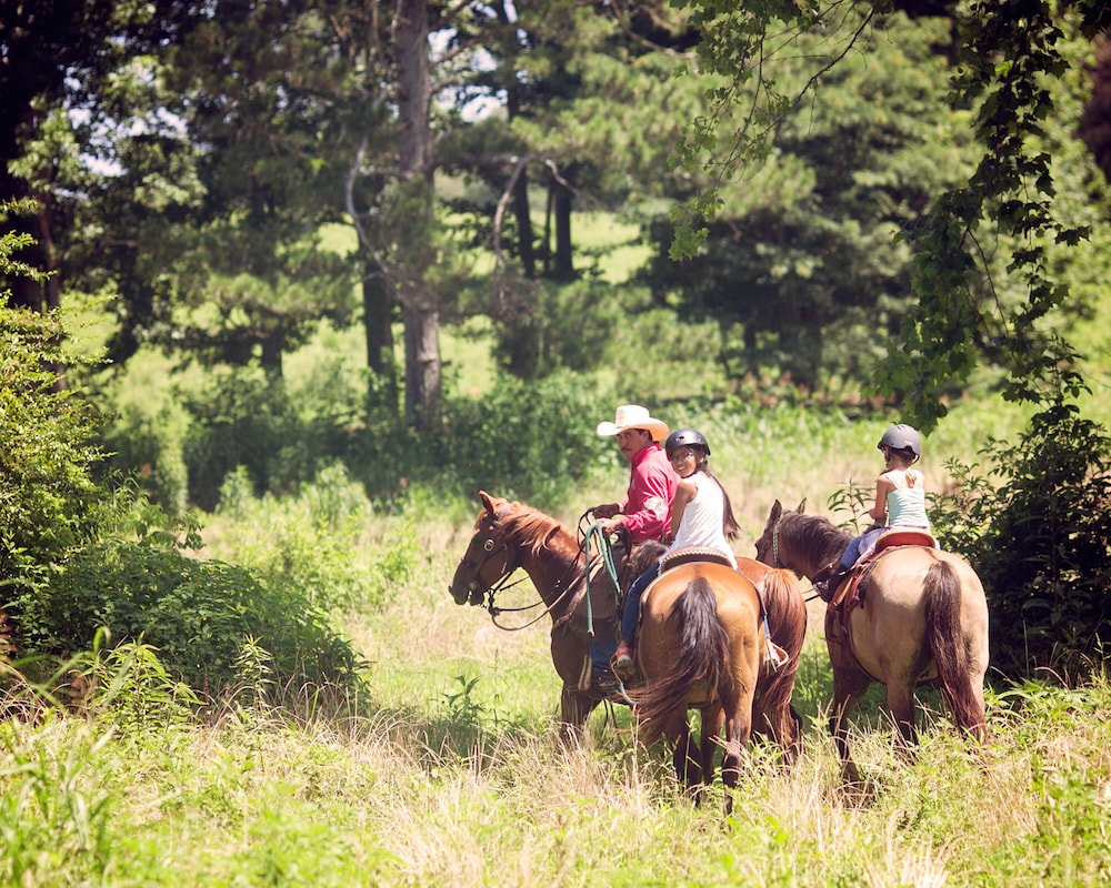 Seventy-four Ranch 28/50
