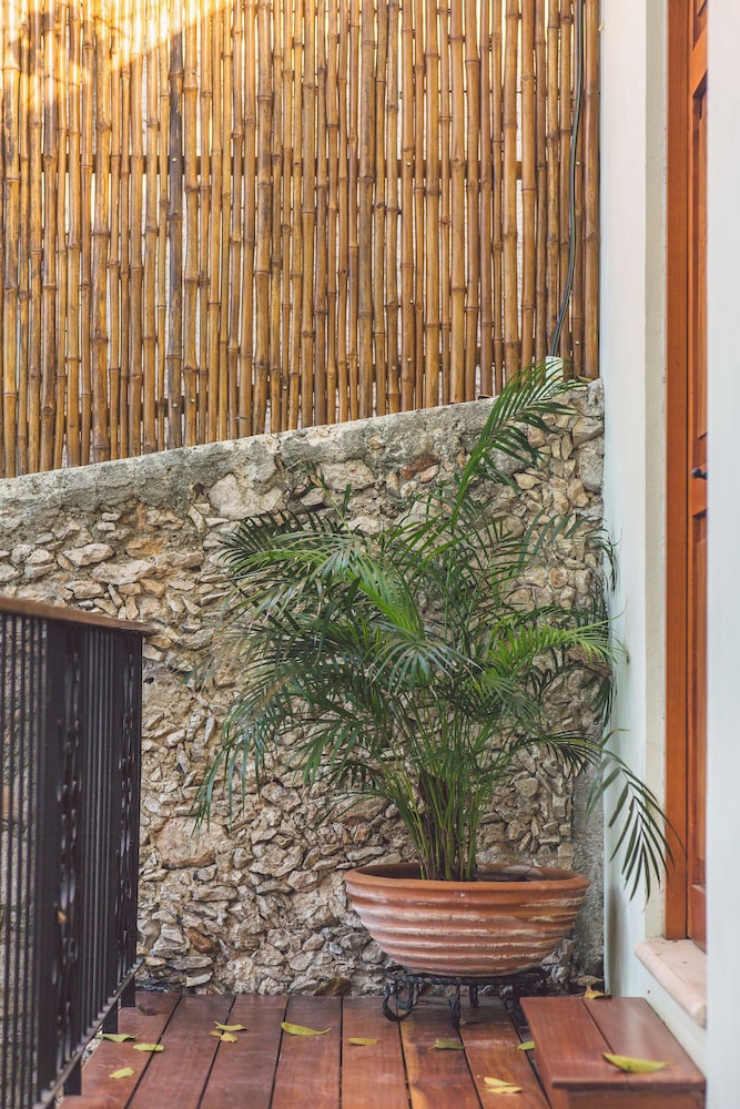 TreeHouse Boutique Hotel 44/50