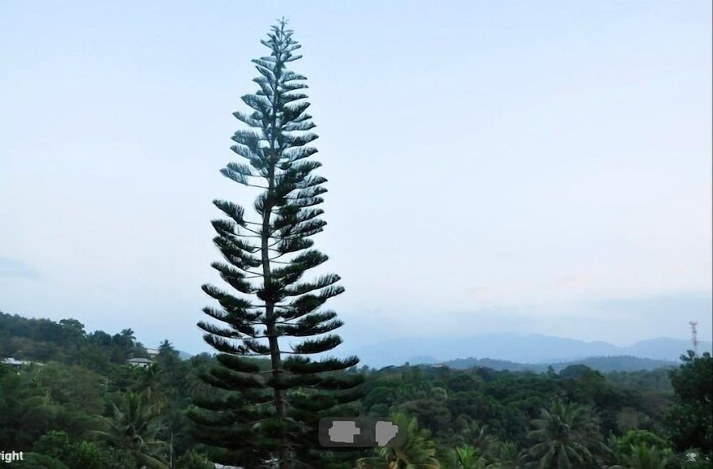 Layathraa Hotel And Restaurant 3/62