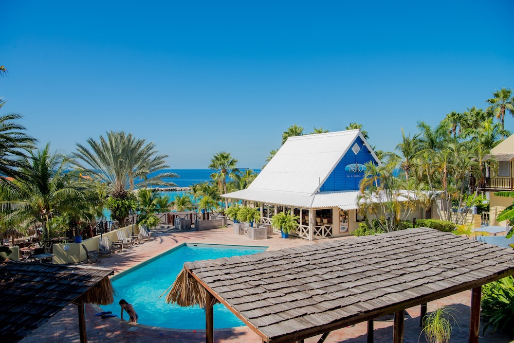 库拉索岛狮子潜水和海滩渡假村酒店(Lions Dive & Beach Resort Curaçao) 图片5