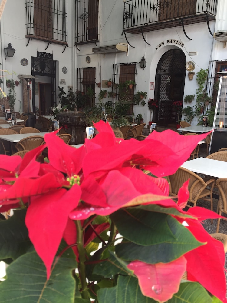 Los Patios photo4