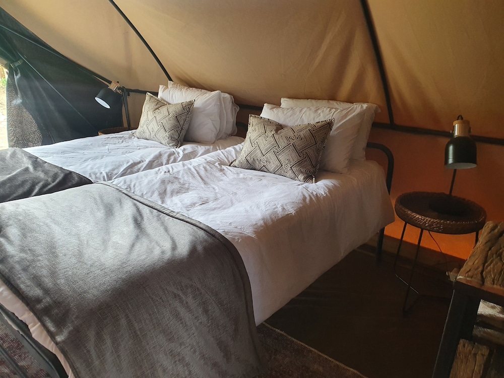 Bundox Explorer Camp 12/38