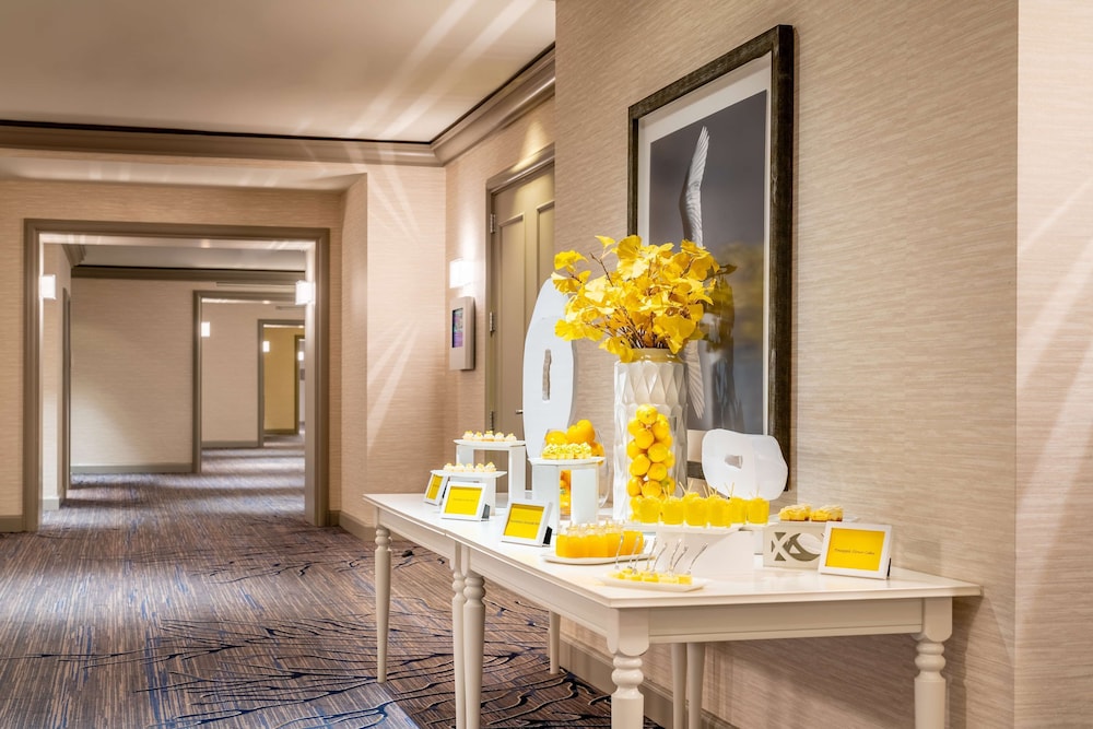 Grand Hyatt Tampa Bay 23/50