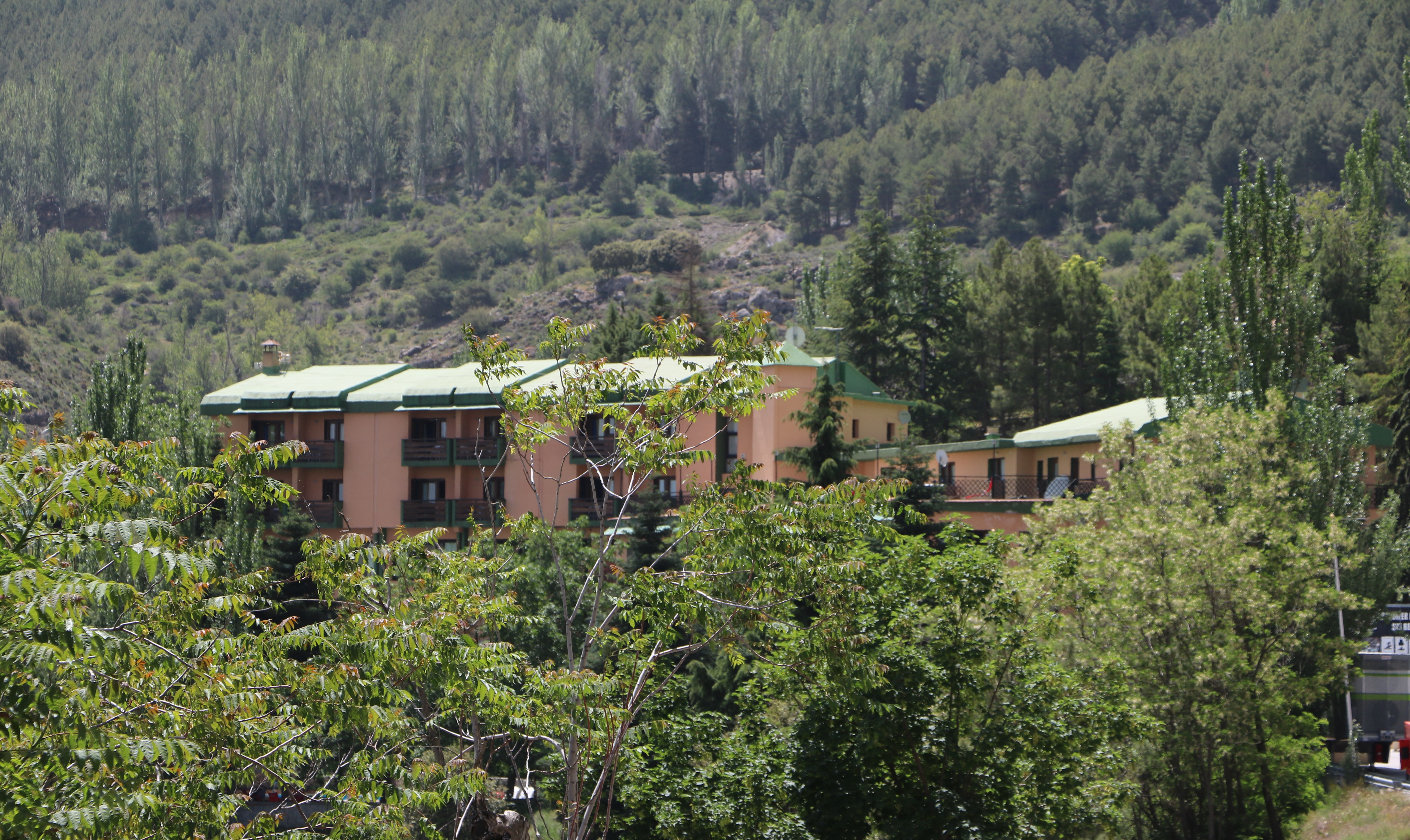 Hotel El Guerra 37/37