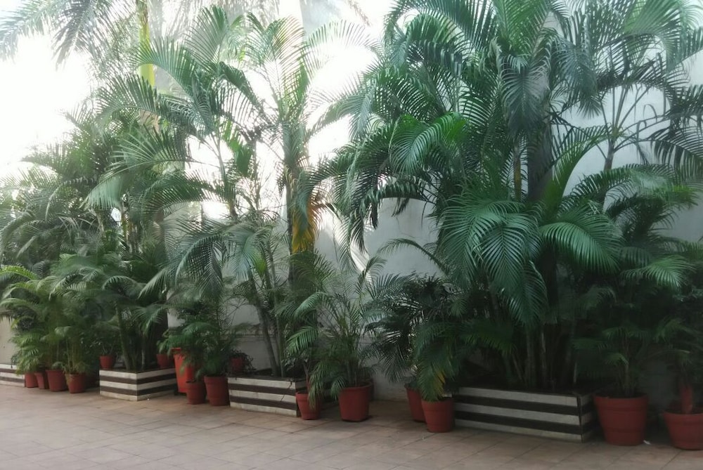 Hotel Basera 15/18