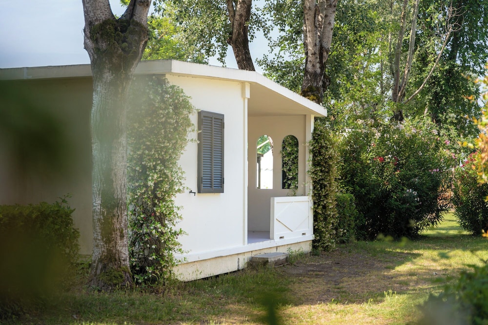 Club del Sole Spina Family Collection 5/50