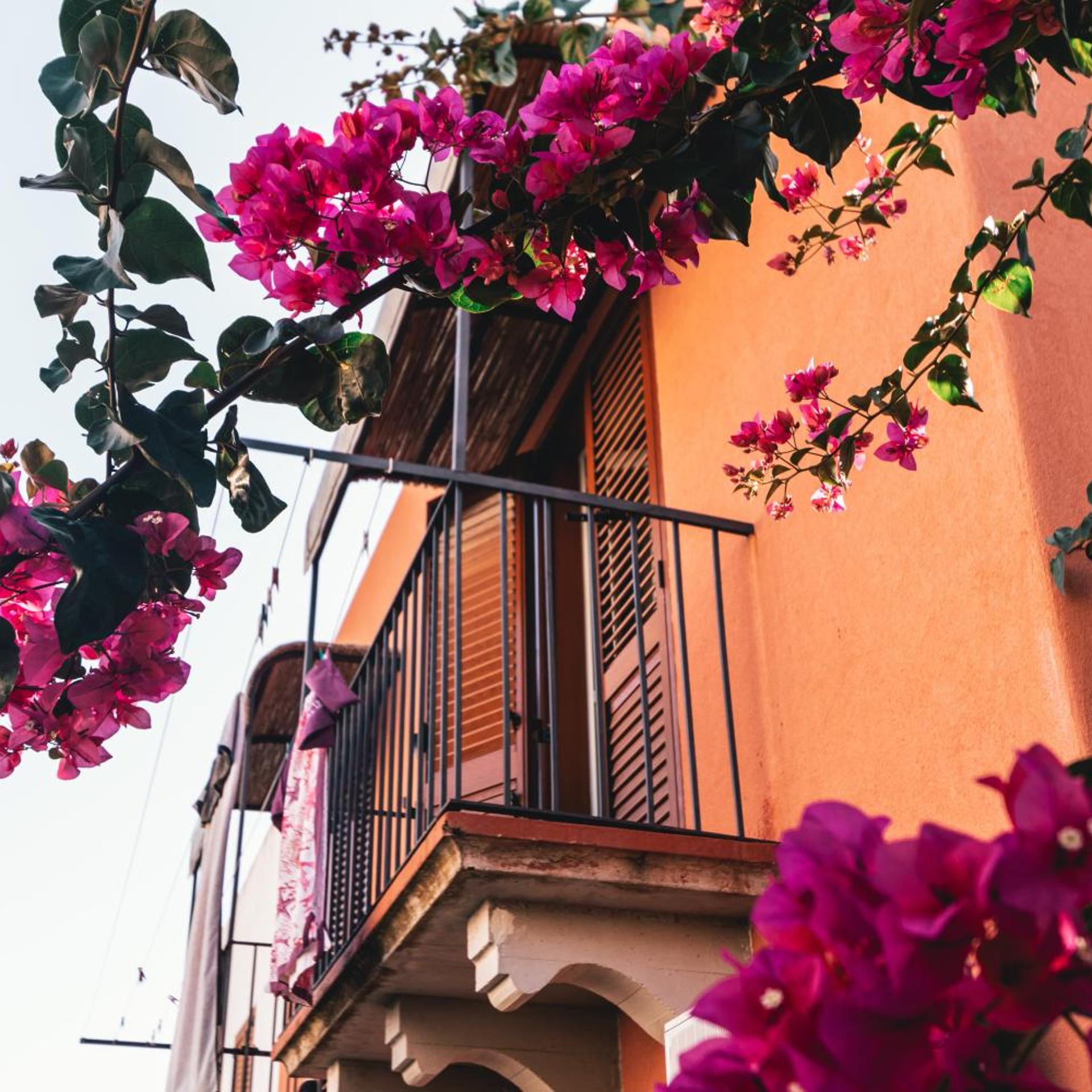 Hotel Residence Mendolita 3/50