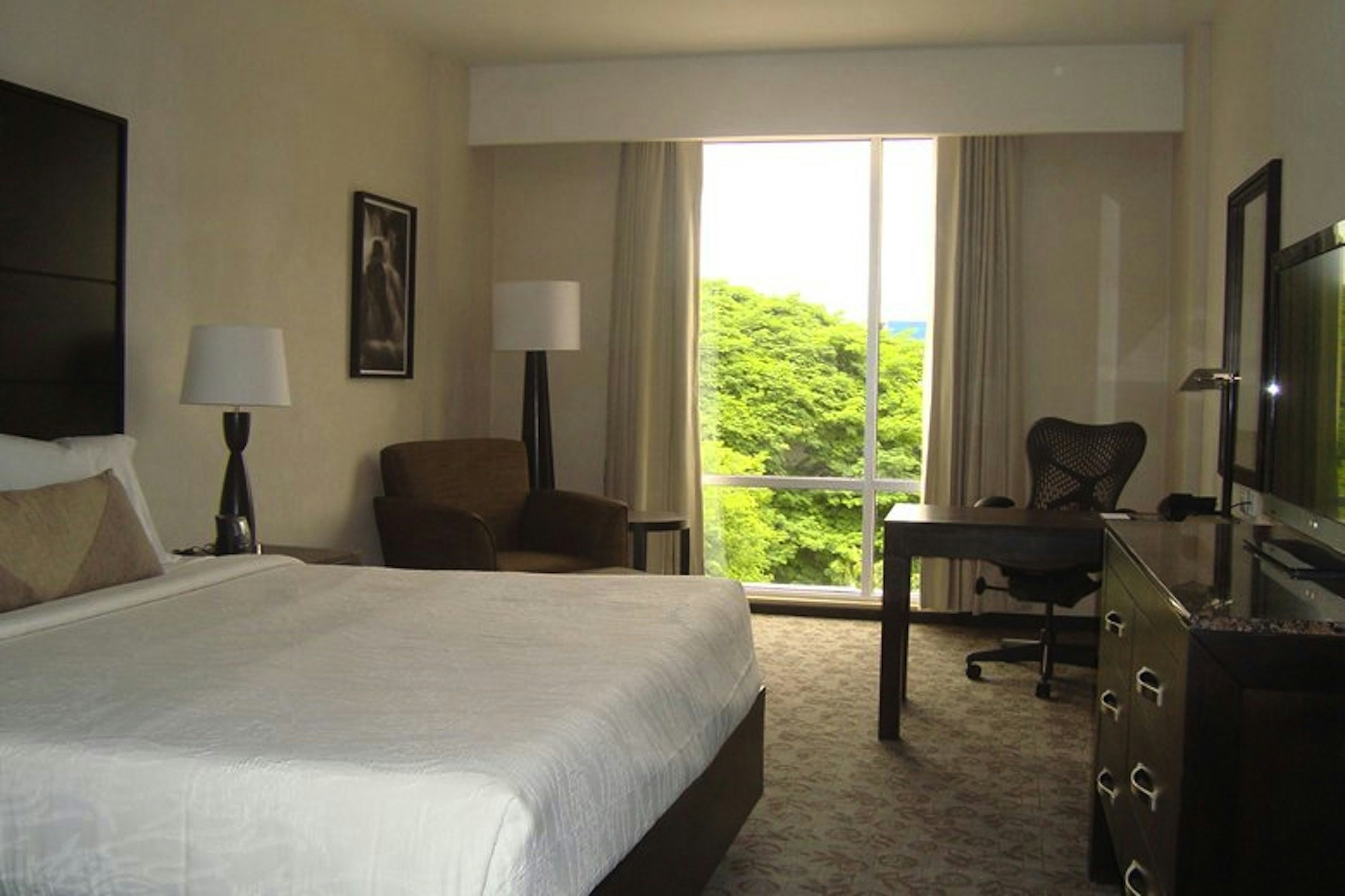 Evolution, King Bed, Accessible