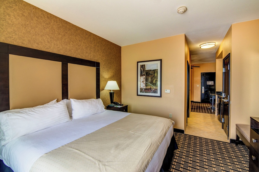 Holiday Inn Arlington Ne Rangers Ballpark 12/69