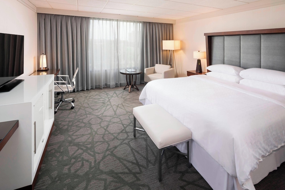 ROOM, KING BED, ACCESSIBLE