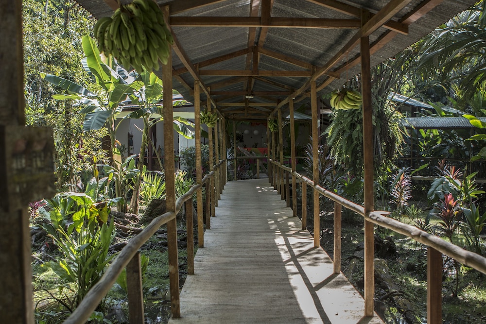 Caribbean Paradise Eco-Lodge 41/50