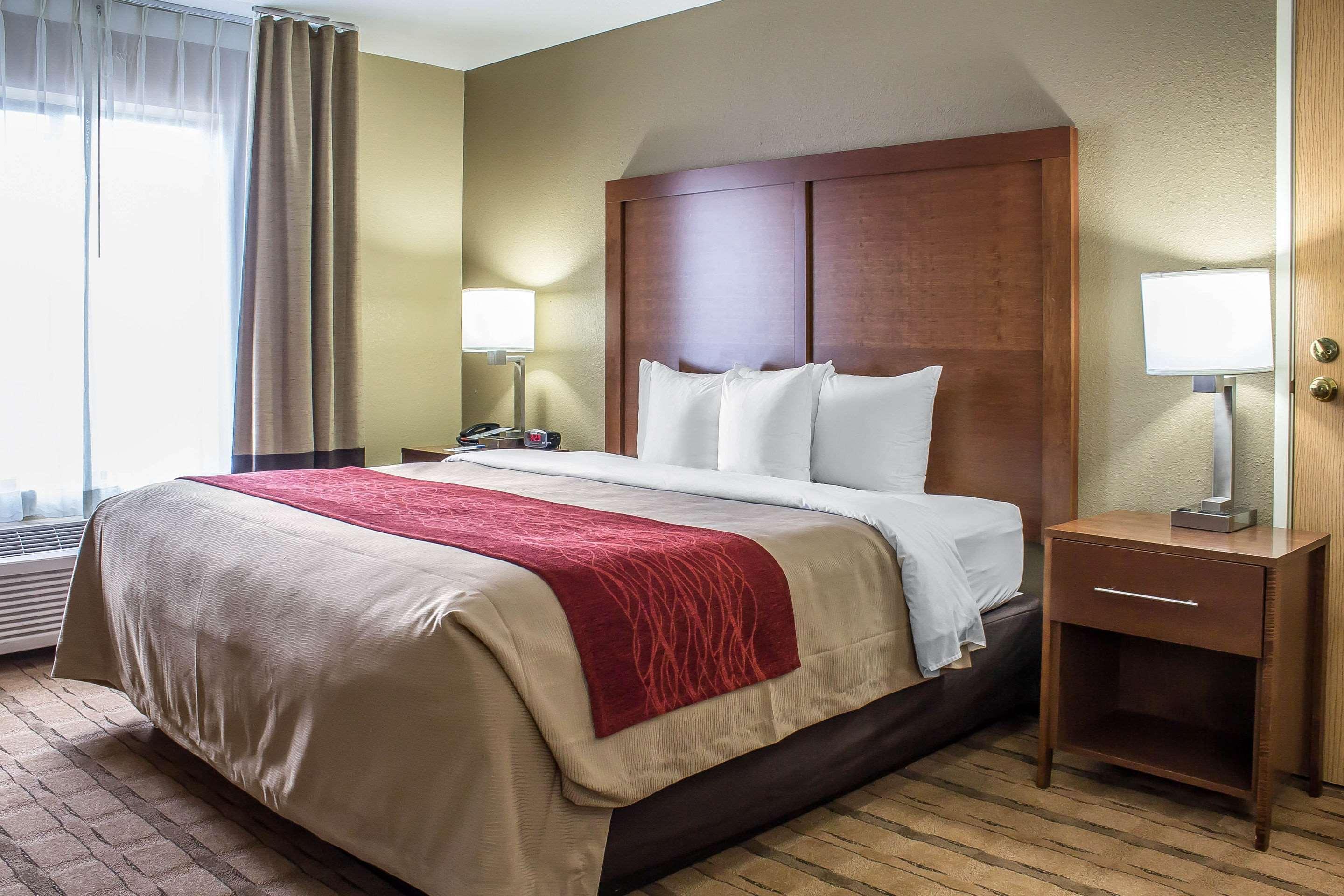 SUITE, KING BED, ACCESSIBLE