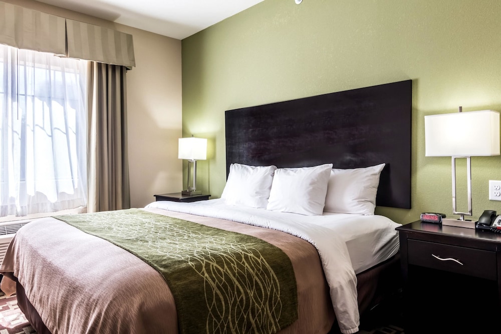 Spark by Hilton Mansfield 15/43