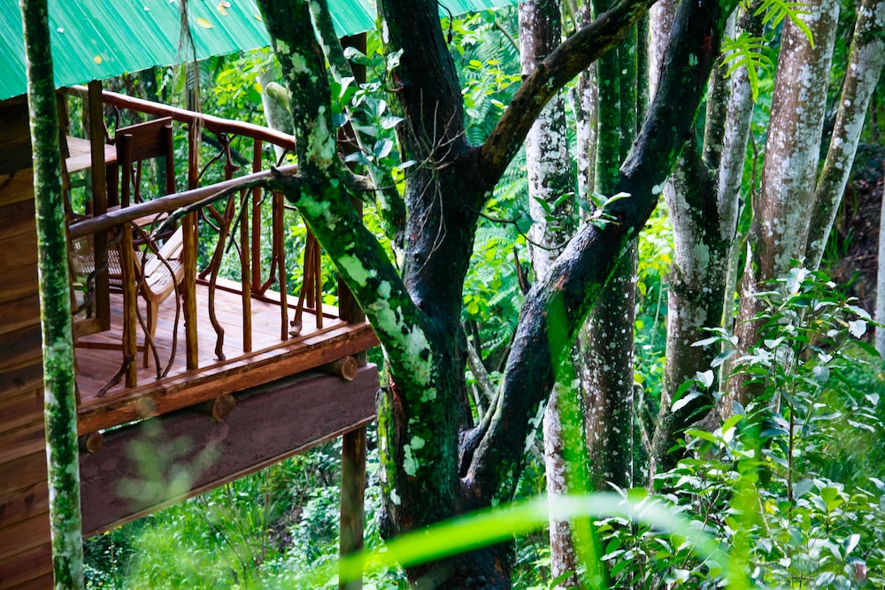 Ella Eco Lodge 31/38