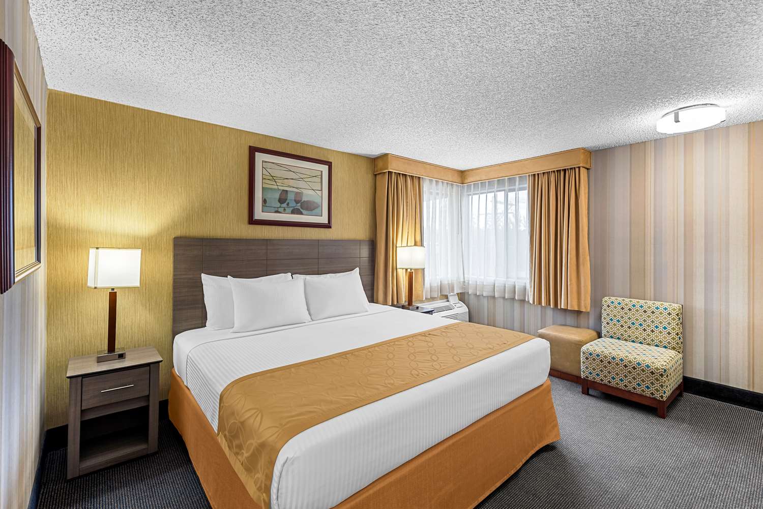 Room, King Bed