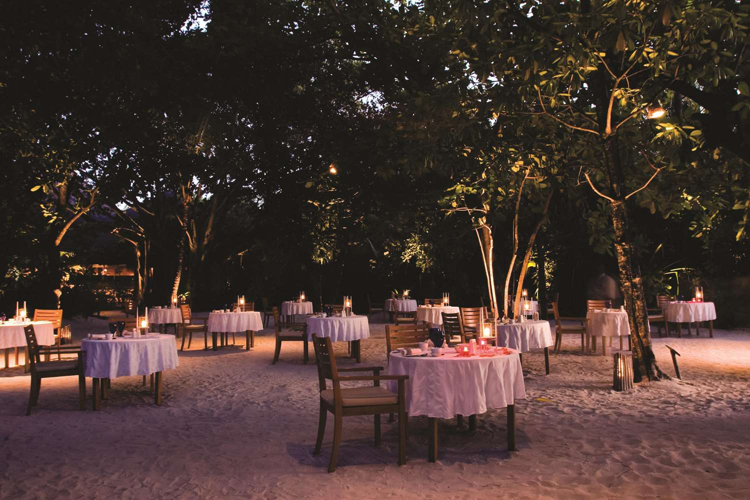 Coco Palm Dhuni Kolhu 47/56