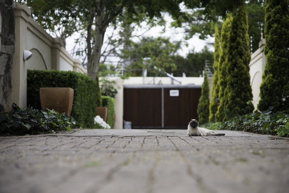 Arum Guest House 23/32