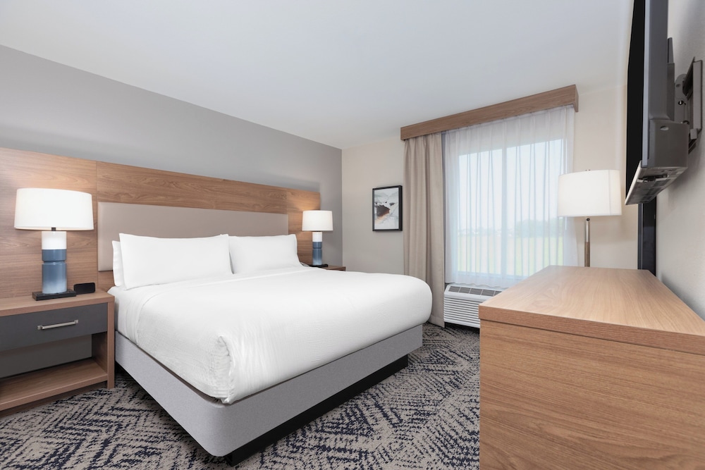 1 Bedroom, Suite, Single Bed