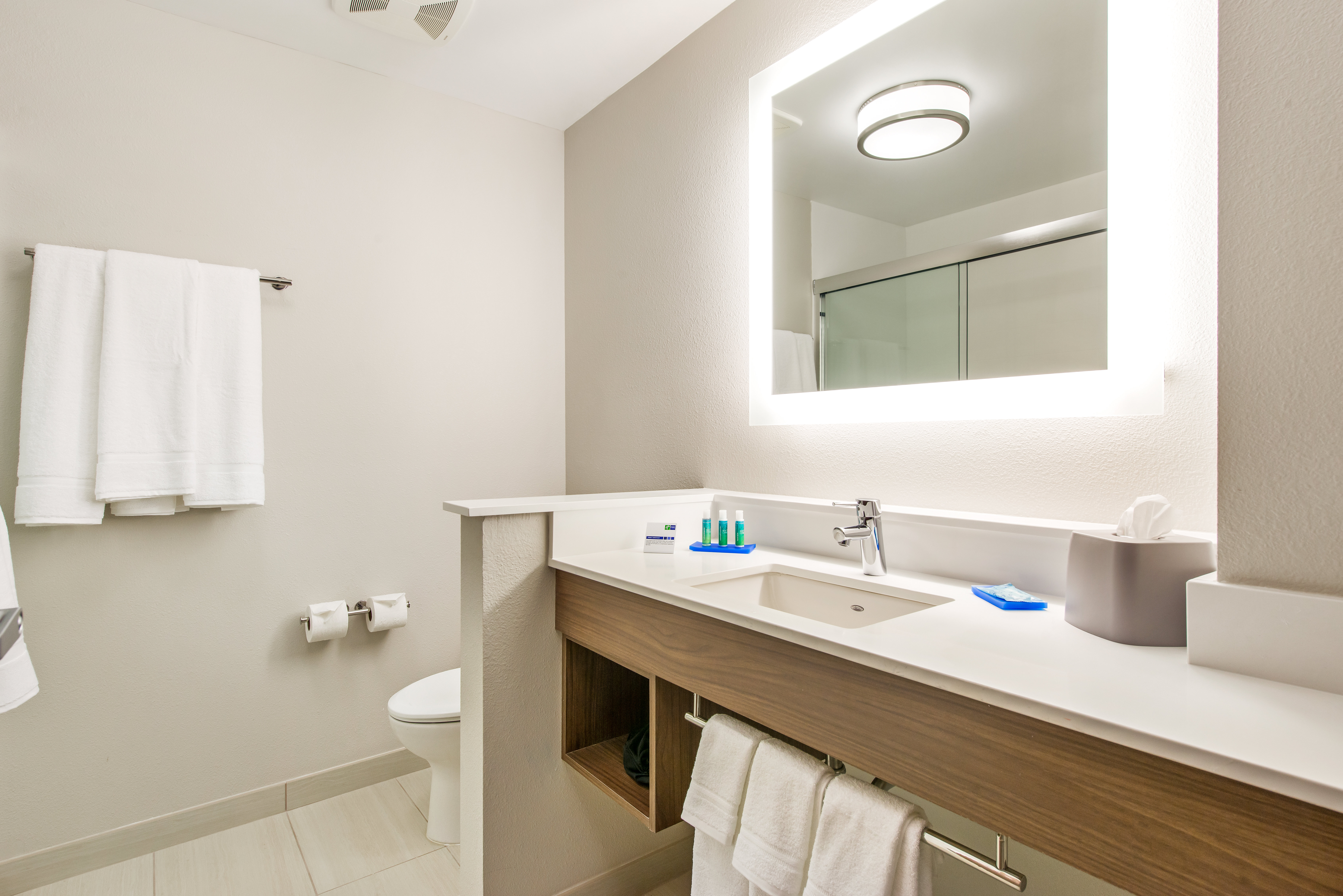 Holiday Inn Express Suites Carrollton West 25/29