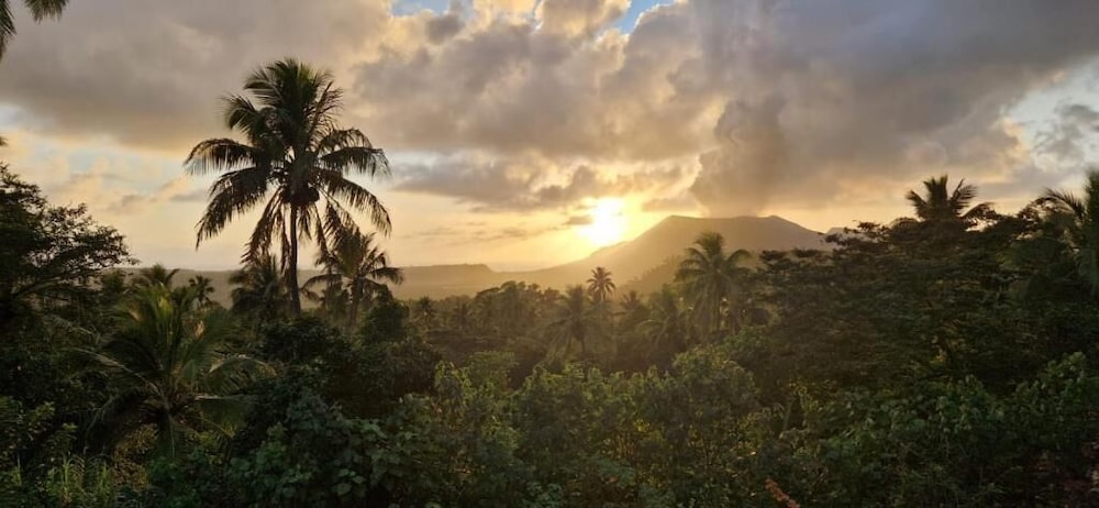 Tanna Lava View Bungalows 30/50