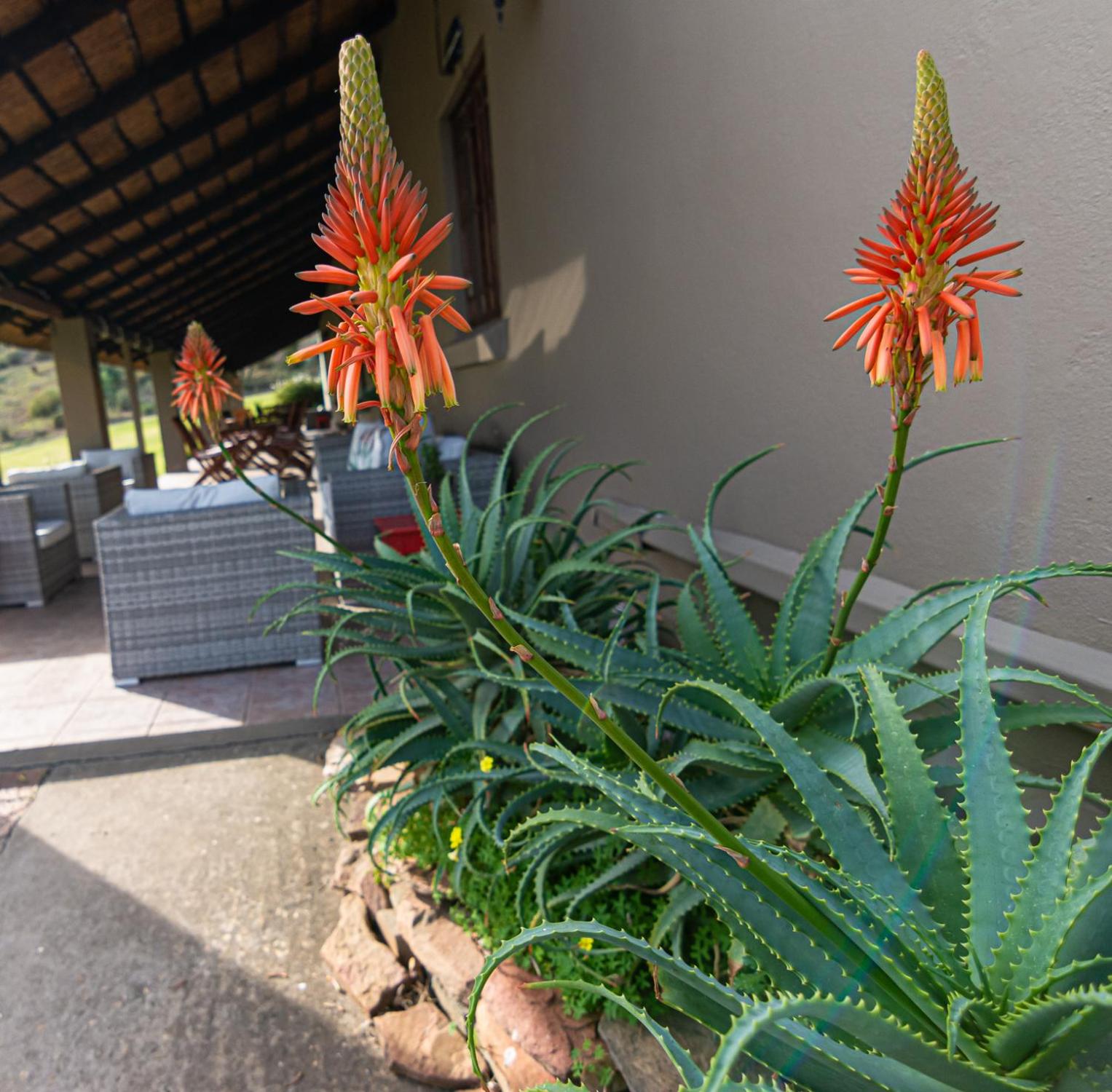 Rooiberg Lodge 46/50