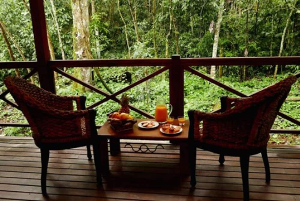 Selva de Laurel 6/71