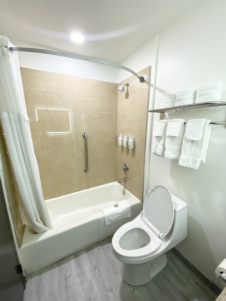 Junior Suite, King Bed, Sofa, Ramada By Wyndham Tuscaloosa 4/4