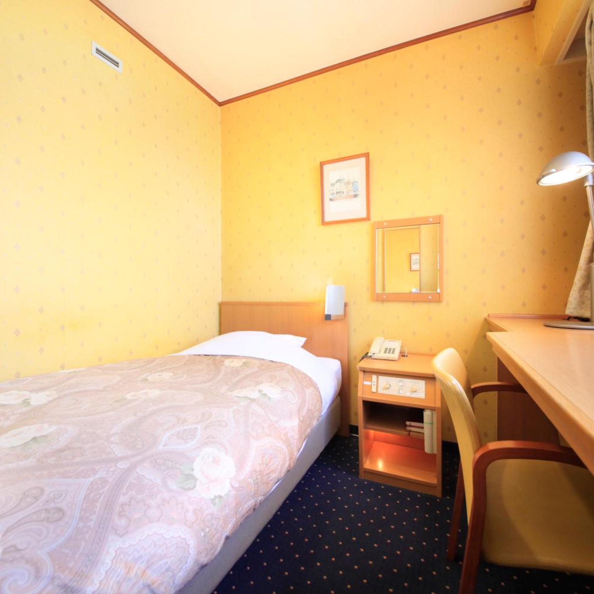 Niigata Station Hotel 19/50