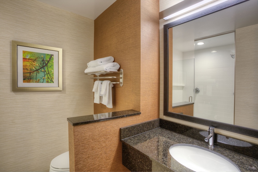 Fairfield Inn And Suites By Marriott Austin San Marcos 41/46