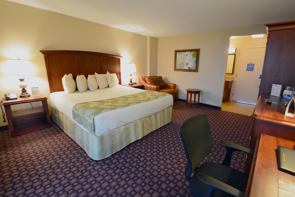 Rosen Inn Closest to Universal 17/62