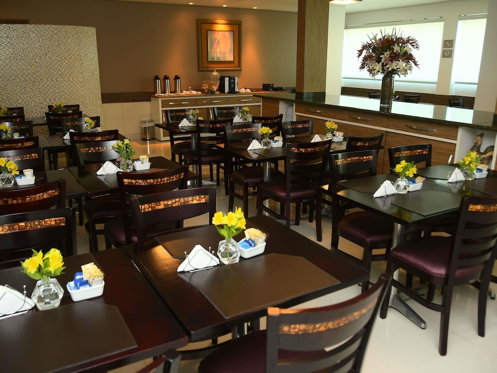 Hotel Araraquara by Mercure 29/36