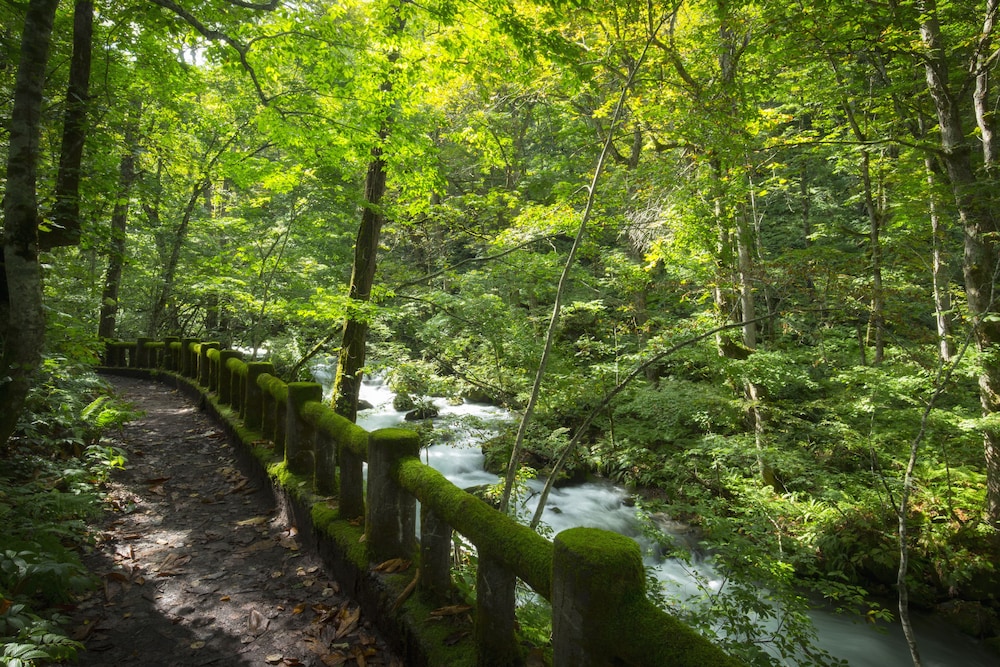 Hoshino Resorts Oirase Keiryu Hotel 37/50