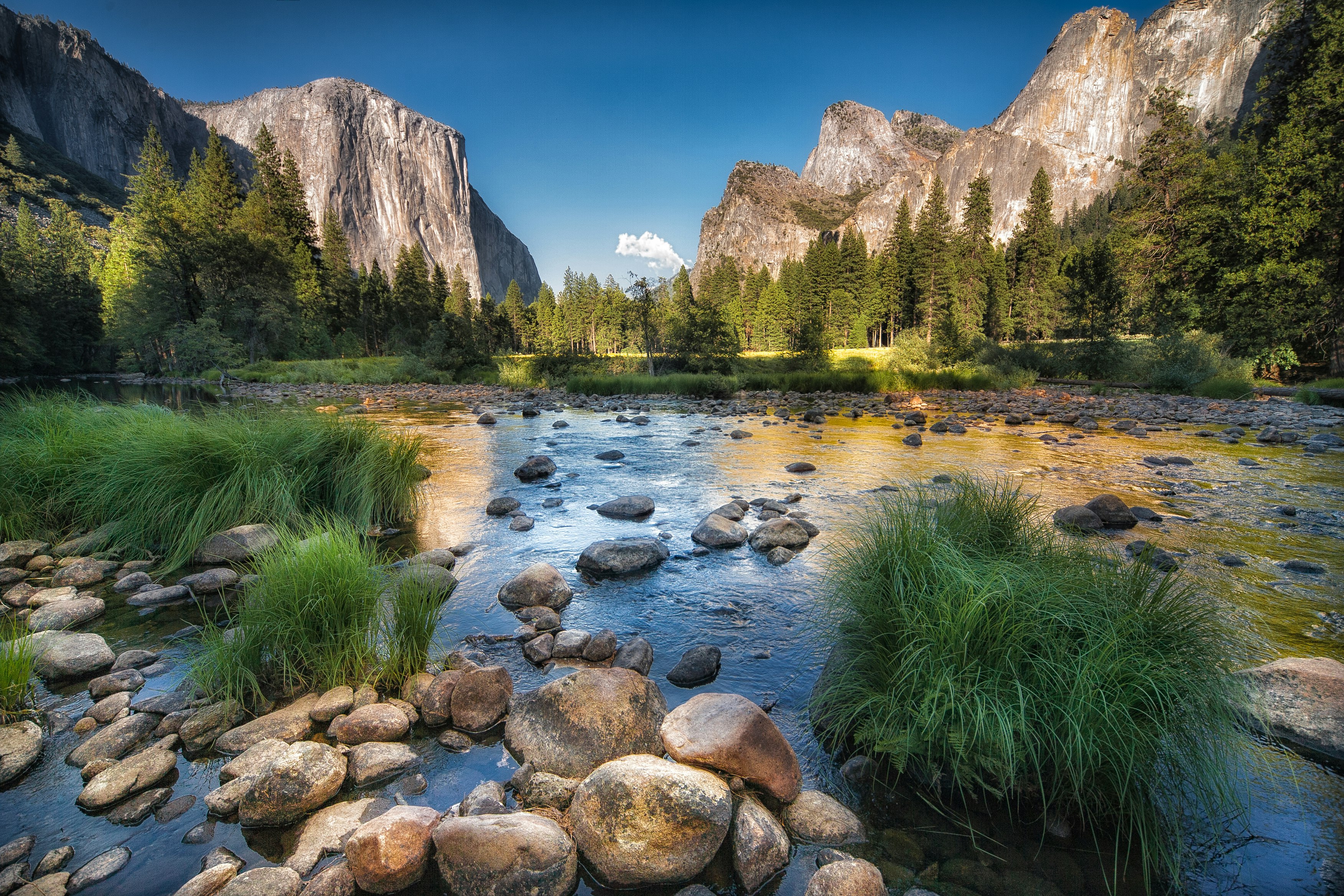 Under Canvas Yosemite 37/50