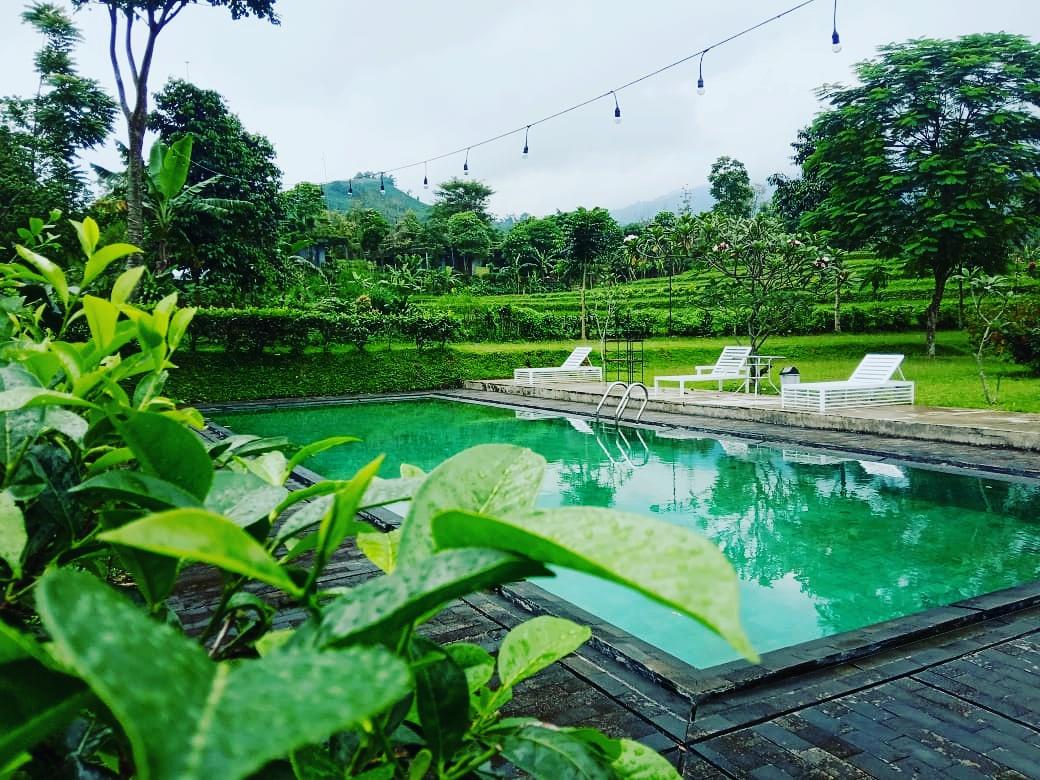 TEA GARDEN RESORT 40/46