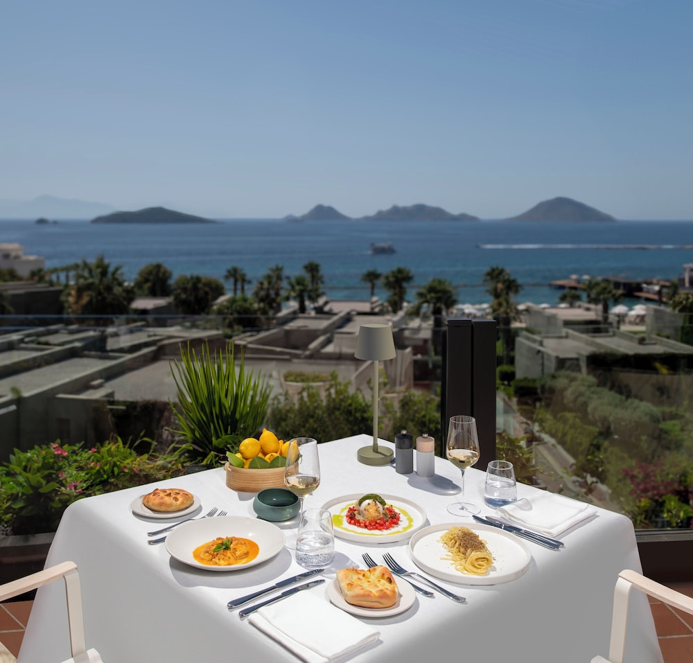 Swissotel Resort Bodrum Beach 31/44