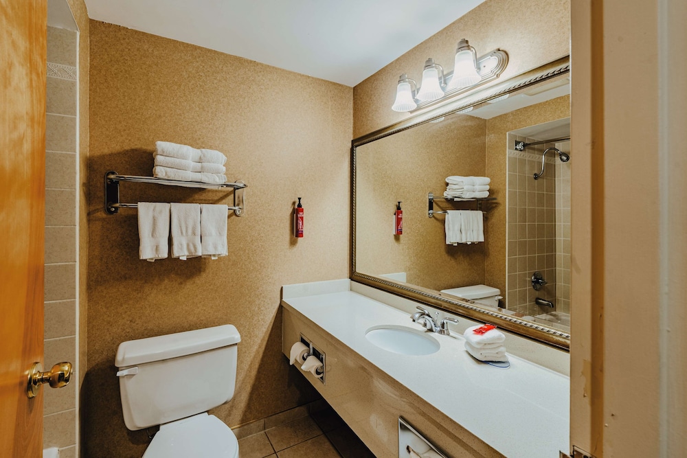 جناح بسريرين كوين بمطبخ صغير، SureStay Plus by Best Western Coquitlam 3/5