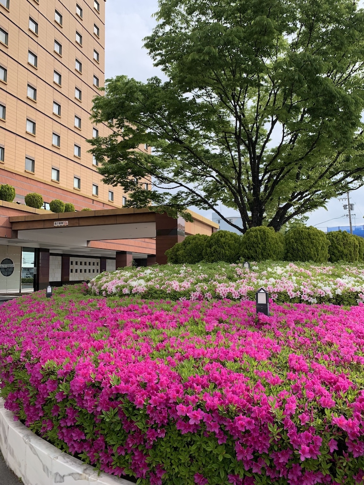 Hotel Koyo 40/46