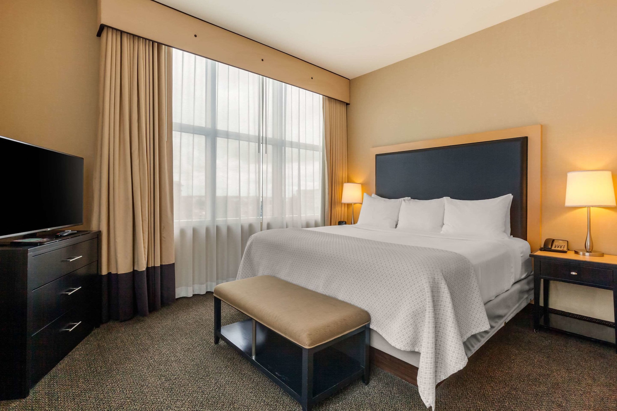 SUITE, KING BED, SOFA