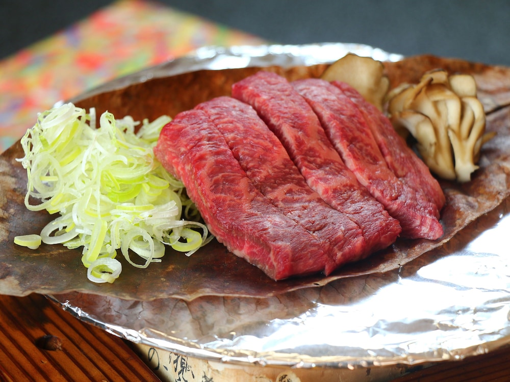 Okuhida Onsen Matsunoi (ex Hina no Yakata Matsunoi) 15/50